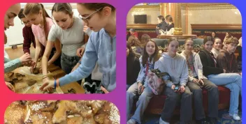 Atelier cuisine hongrie